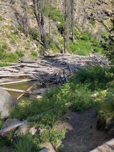 Upper Crooked River Trailhead