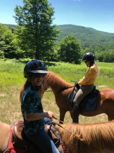 Vermont Icelandic Horse Farm