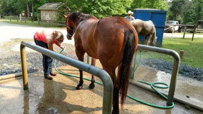 Uwharrie National Forest / Canebrake Horse Camp
