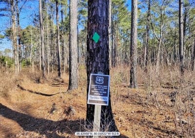 Uwharrie National Forest / Canebrake Horse Camp