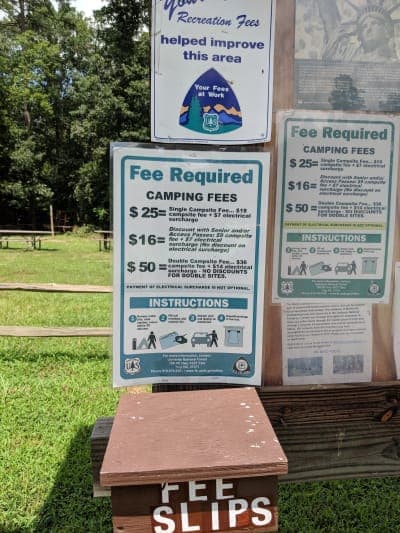 Uwharrie National Forest / Canebrake Horse Camp