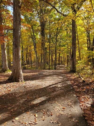 Versailles State Park