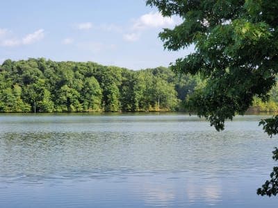 Village Creek State Park