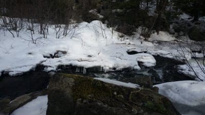 Victory State Forest & Victory Basin Wildlife Management Area