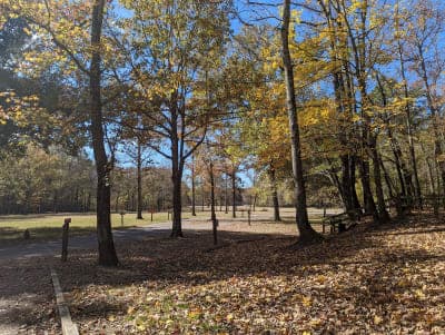 Village Creek State Park