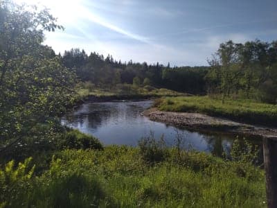 Victory State Forest & Victory Basin Wildlife Management Area