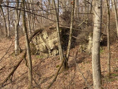 Volga River State Recreation Area