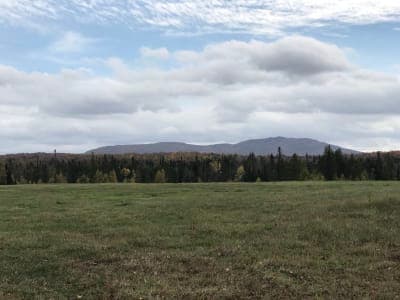 Victory State Forest & Victory Basin Wildlife Management Area