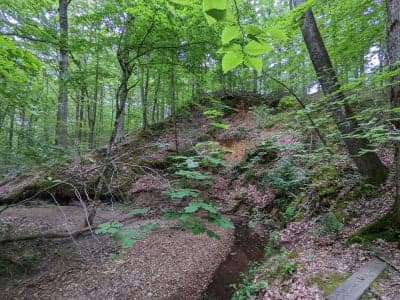 Village Creek State Park