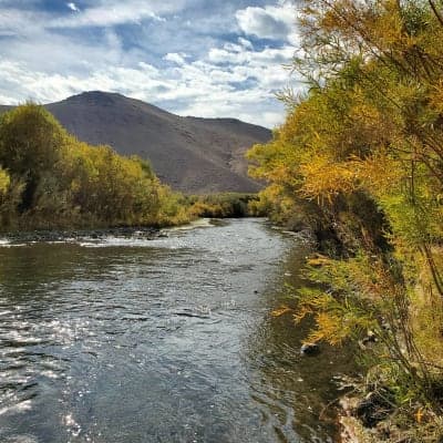 Walker River State Recreation Area