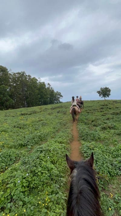 Waipiʻo on Horseback / WOH Ranch
