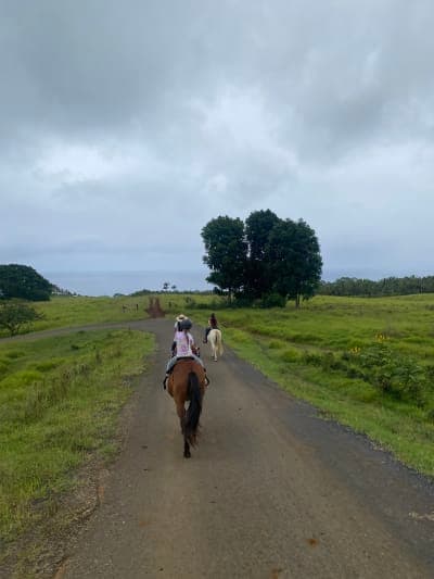 Wailea Horseback Adventure at Umauma