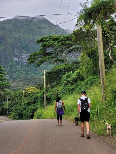 Waimānalo Forest Reserve / Maunawili Ditch Trail