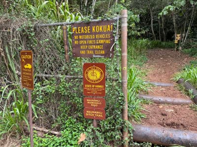 Waimānalo Forest Reserve / Maunawili Ditch Trail