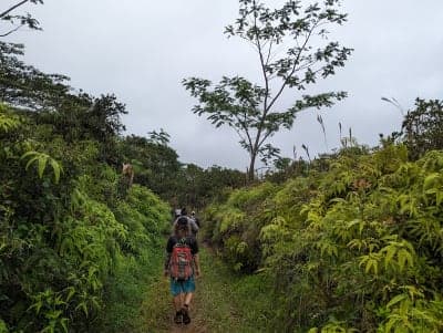 Wailua Game Management Area / Moalepe Trail