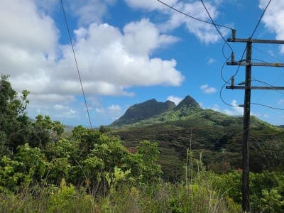 Waimānalo Forest Reserve / Maunawili Ditch Trail