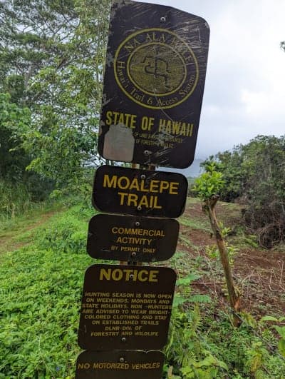 Wailua Game Management Area / Moalepe Trail