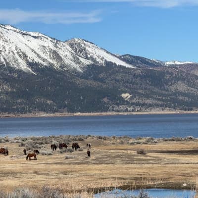 Washoe Lake State Park