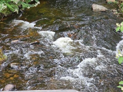 Warren Recreational Rail Trail