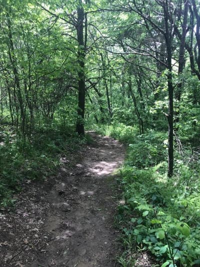 Waubonsie State Park