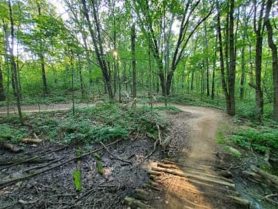Waterloo Recreation Area