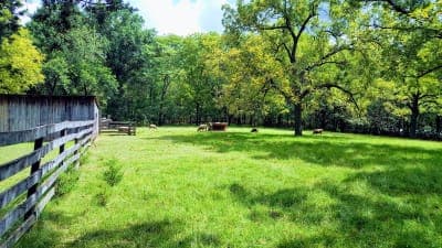 Watkins Mill State Park