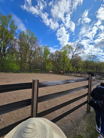 Watchung Stable & Reservation