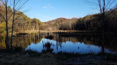 Wayne National Forest