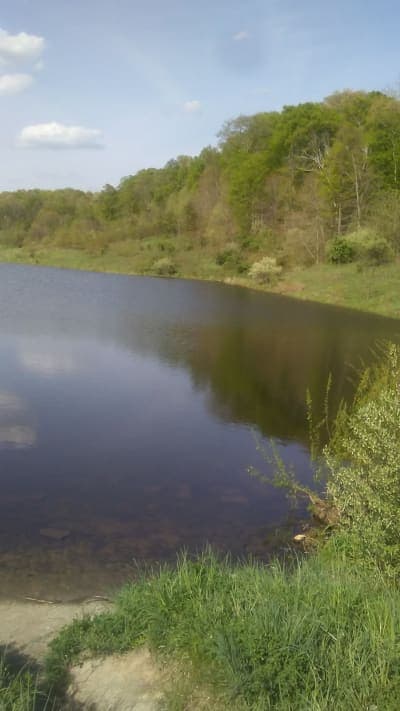 Wayne National Forest