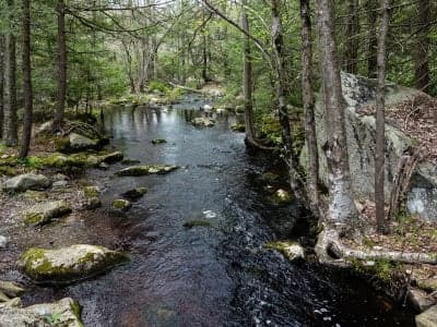 Wawayanda State Park
