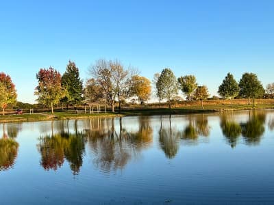 Weinberg-King State Fish & Wildlife Area