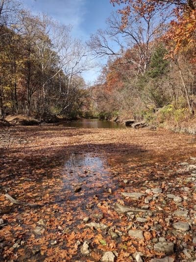 Weinberg-King State Fish & Wildlife Area