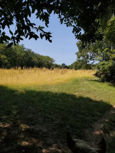 Weinberg-King State Fish & Wildlife Area