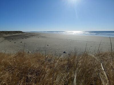Westport Light State Park