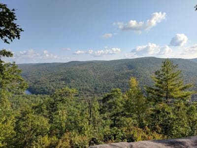 Wendell State Forest