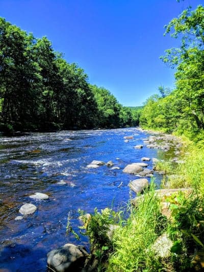 Wendell State Forest