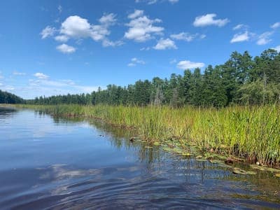 Wharton State Forest