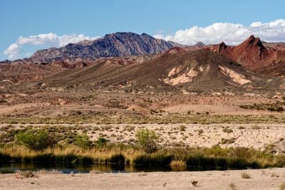 Wetlands Park North Equestrian Trails