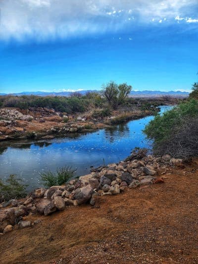 Wetlands Park North Equestrian Trails