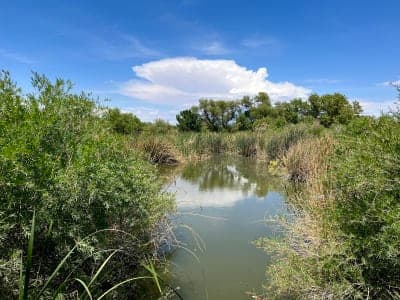 Wetlands Park North Equestrian Trails