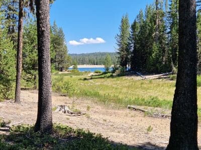 Whitefish Horse Camp