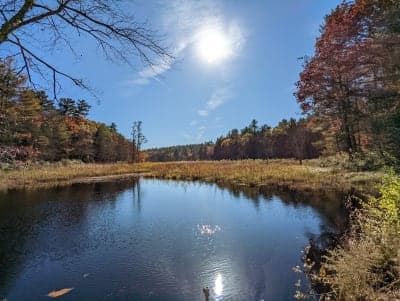 White Memorial Conservation Center