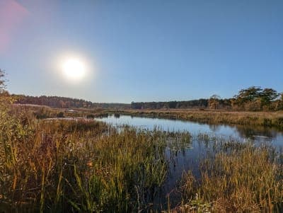 White Memorial Conservation Center