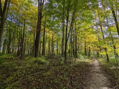 Whitewater Memorial State Park