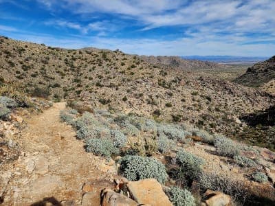 White Tank Mountain Regional Park