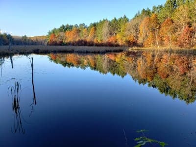Wild Rivers State Trail