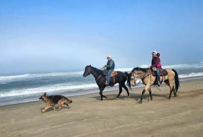Wild Mare Horse Camp
