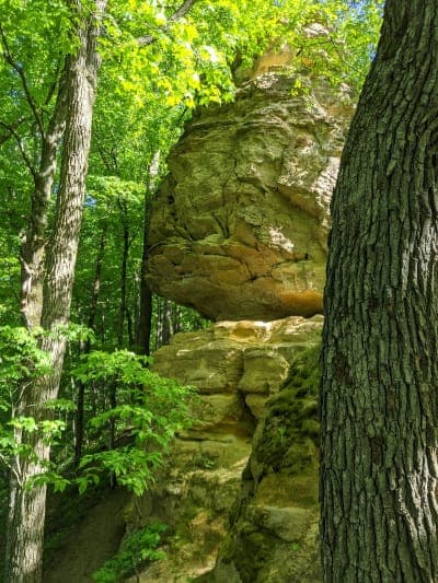Wildcat Mountain State Park