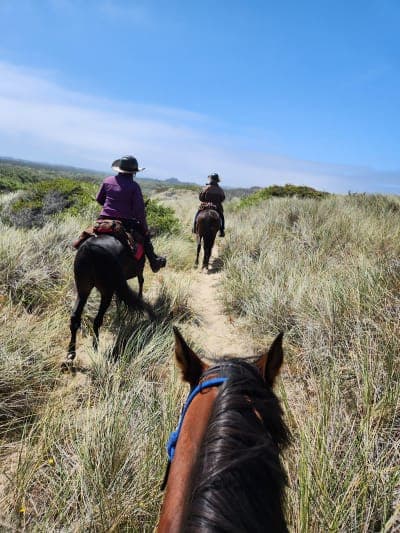 Wild Mare Horse Camp