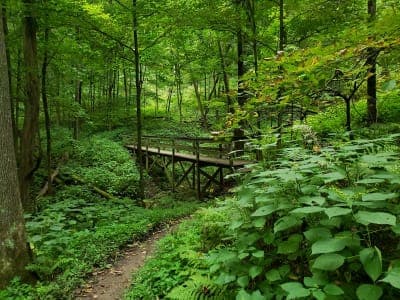 Wildcat Mountain State Park